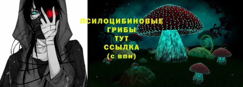 Псилоцибиновые грибы Psilocybe  Болгар 